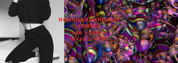 ГАЛЛЮЦИНОГЕННЫЕ ГРИБЫ Абинск