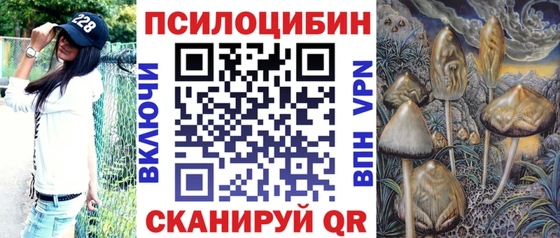 Галлюциногенные грибы мицелий  где купить наркоту  Сальск 